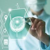 © mi_viri/Shutterstock.com