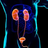 © mybox/Shutterstock.com